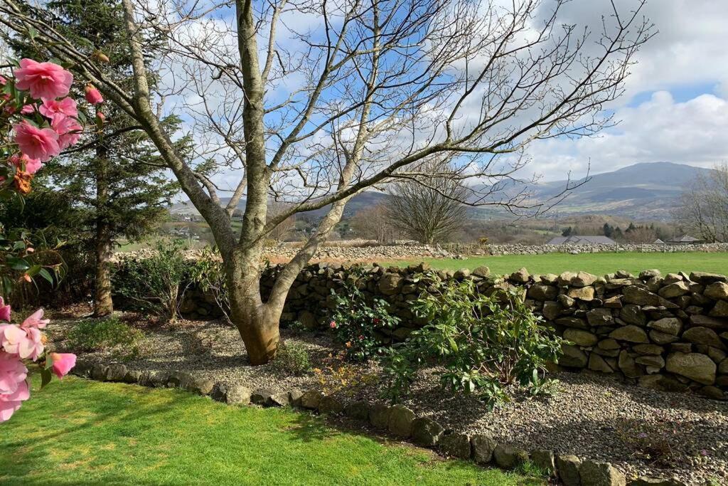 Snowdonia Cabin Caernarfon Buitenkant foto