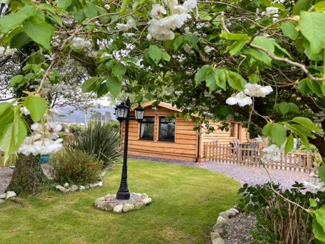 Snowdonia Cabin Caernarfon Buitenkant foto